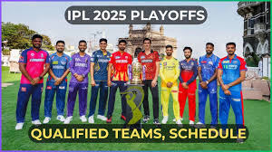 IPL 2025 Playoffs: Who’s In, Who’s Out & What’s Next?